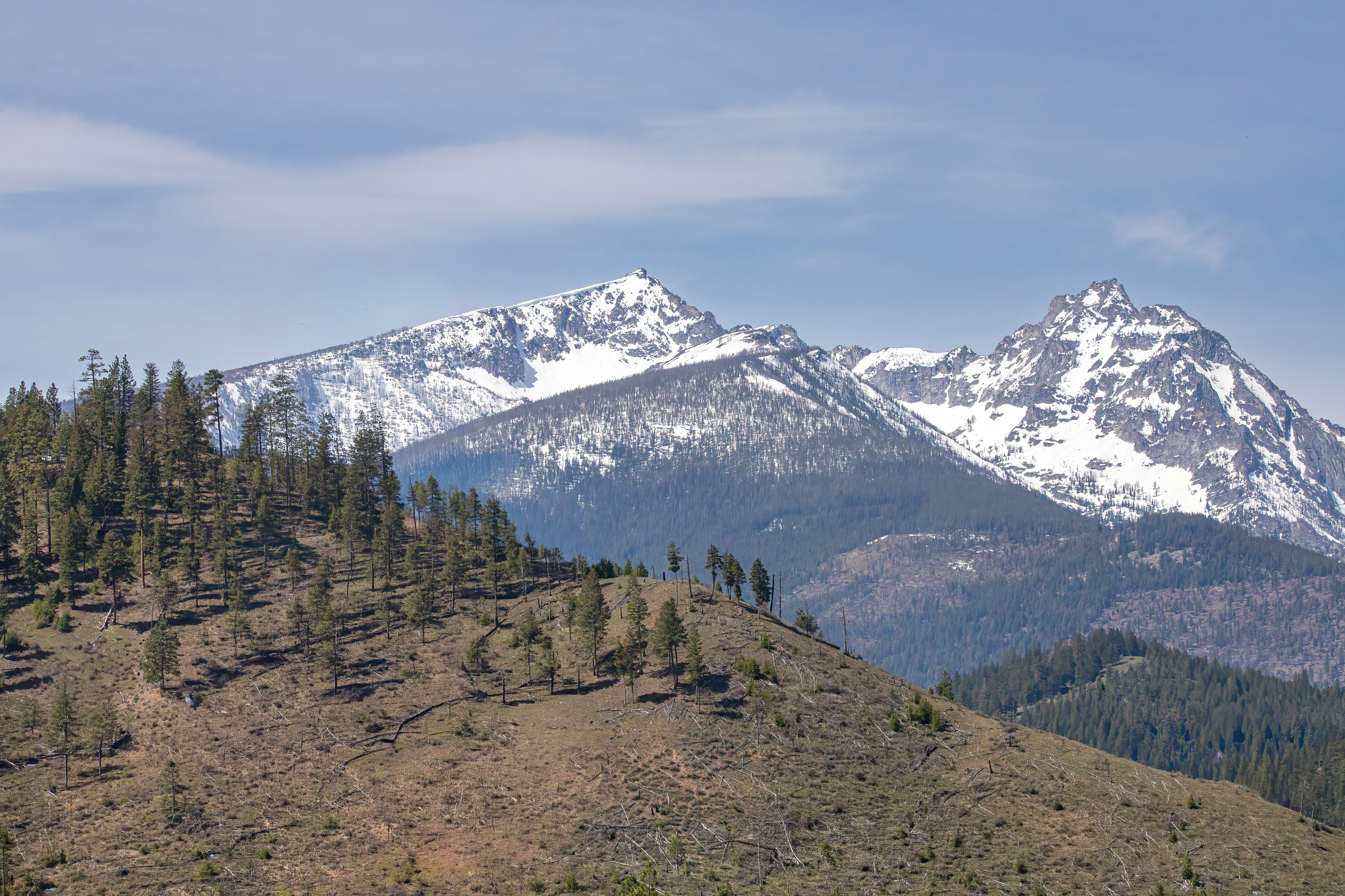 bitterroot mountain valley (5)