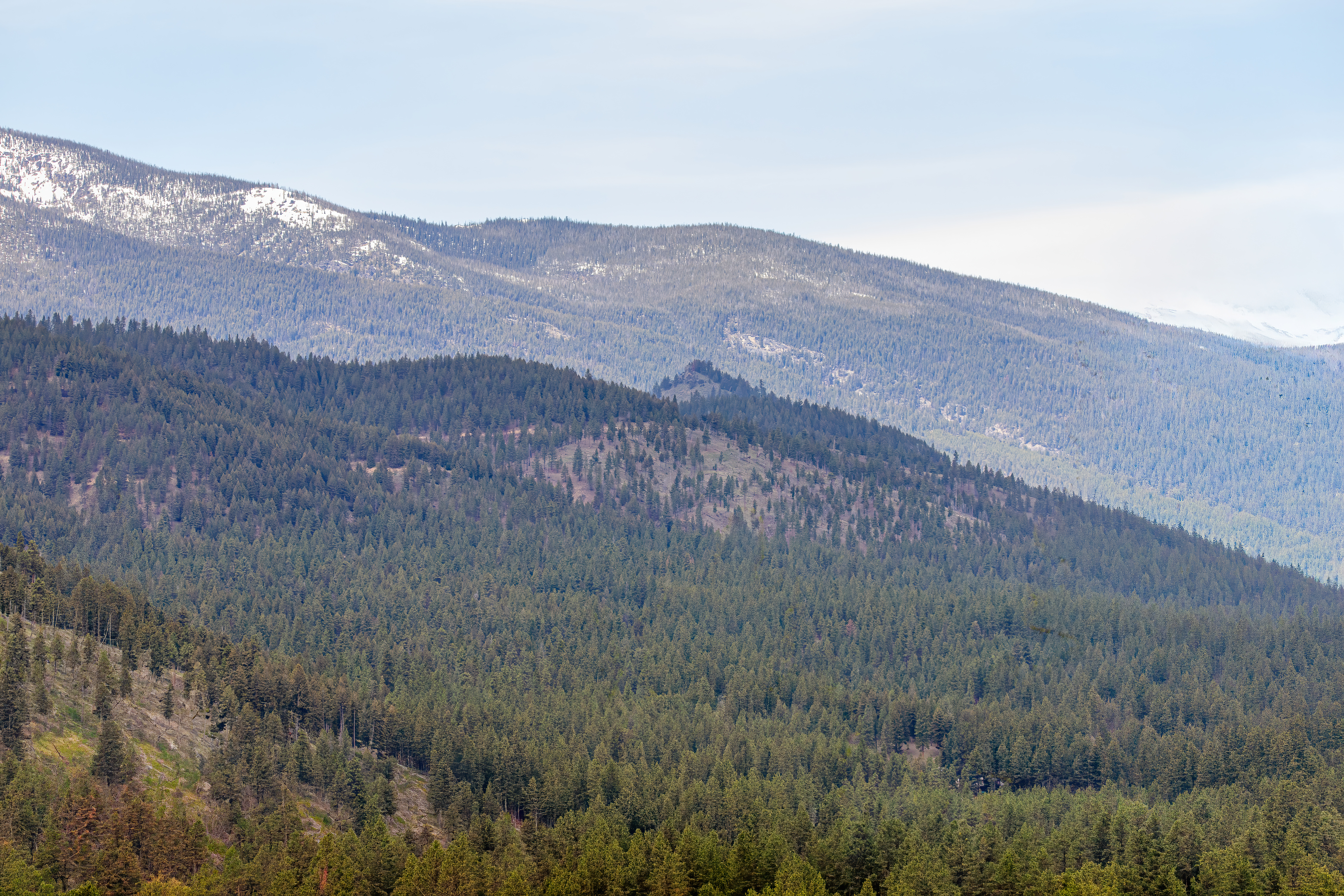 bitterroot mountain valley (7)