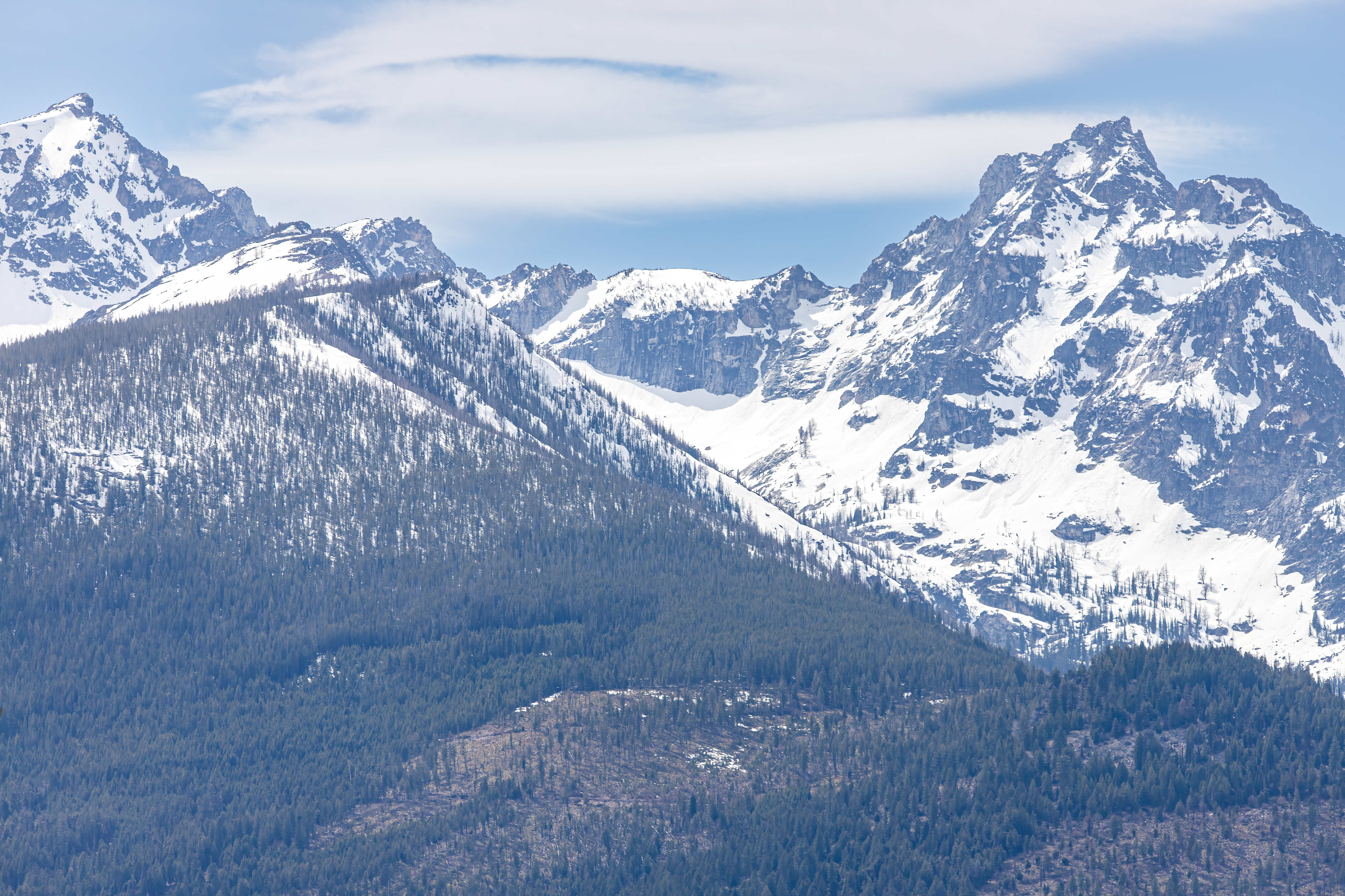 bitterroot mountain valley (14)