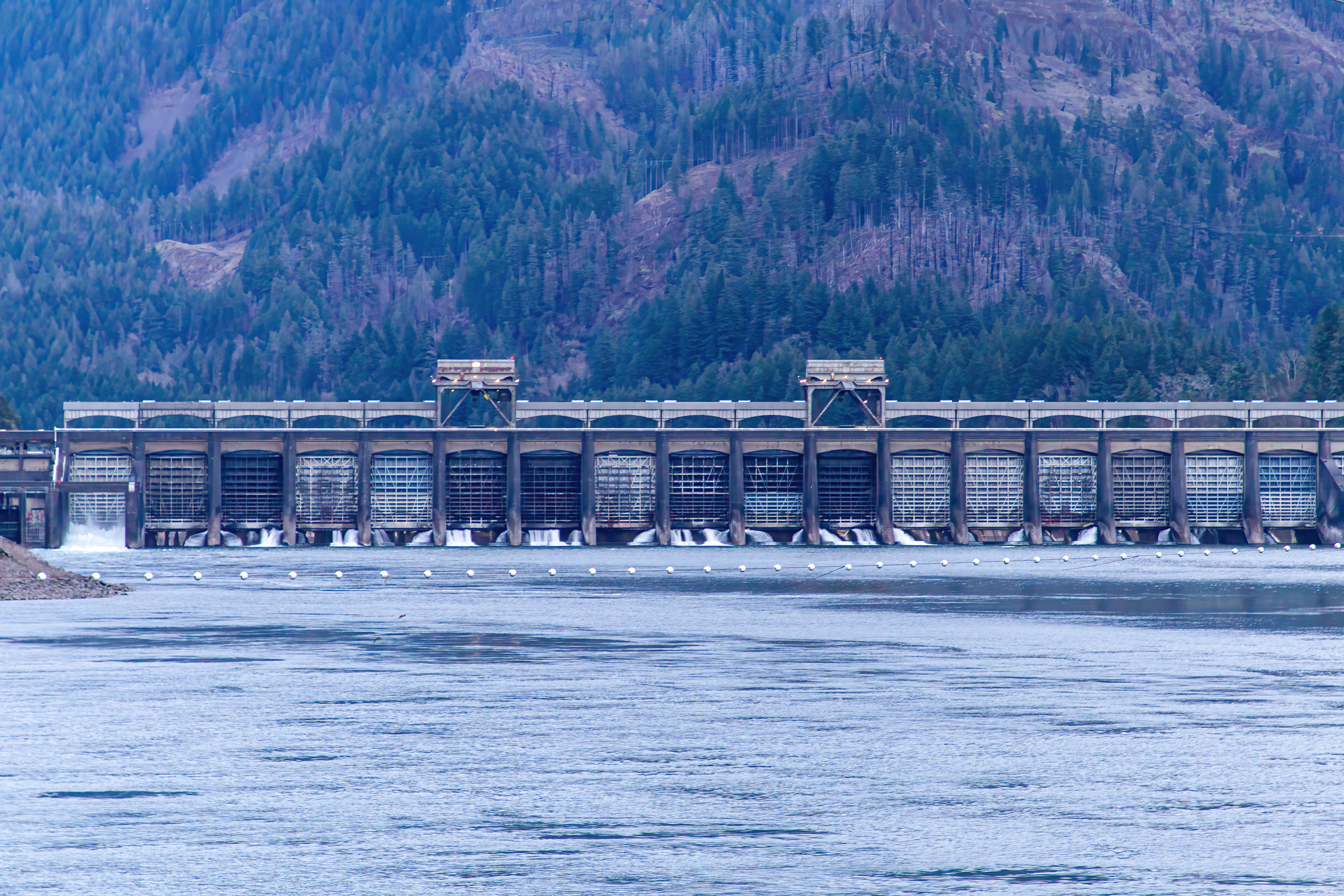 A closer view of the Bonneville Dam from the banks of the Columbia River (Washington side).